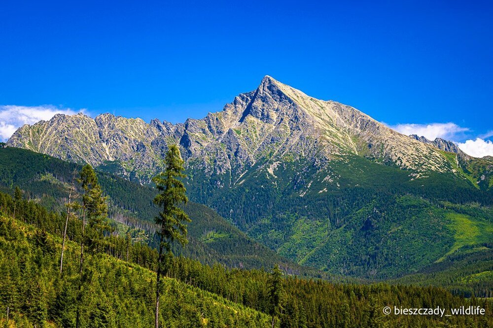 Tatras 2023-262 Bystra.jpg