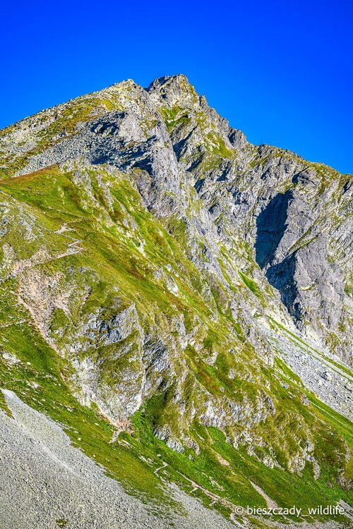 Tatras 2023-265 Koprowy.jpg