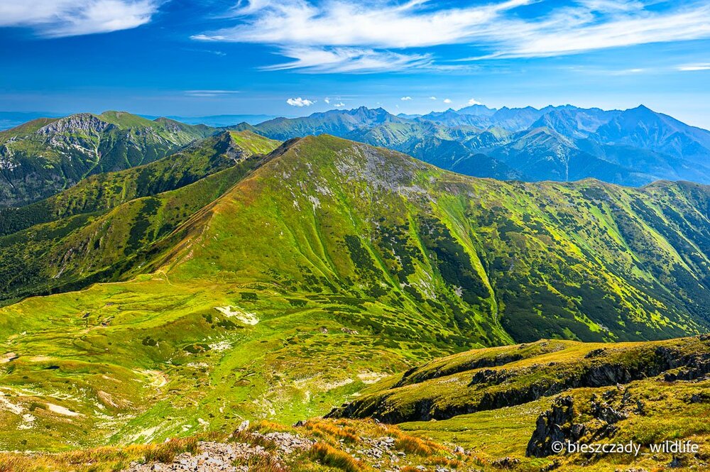 Tatras 2023-257 Bystra.jpg