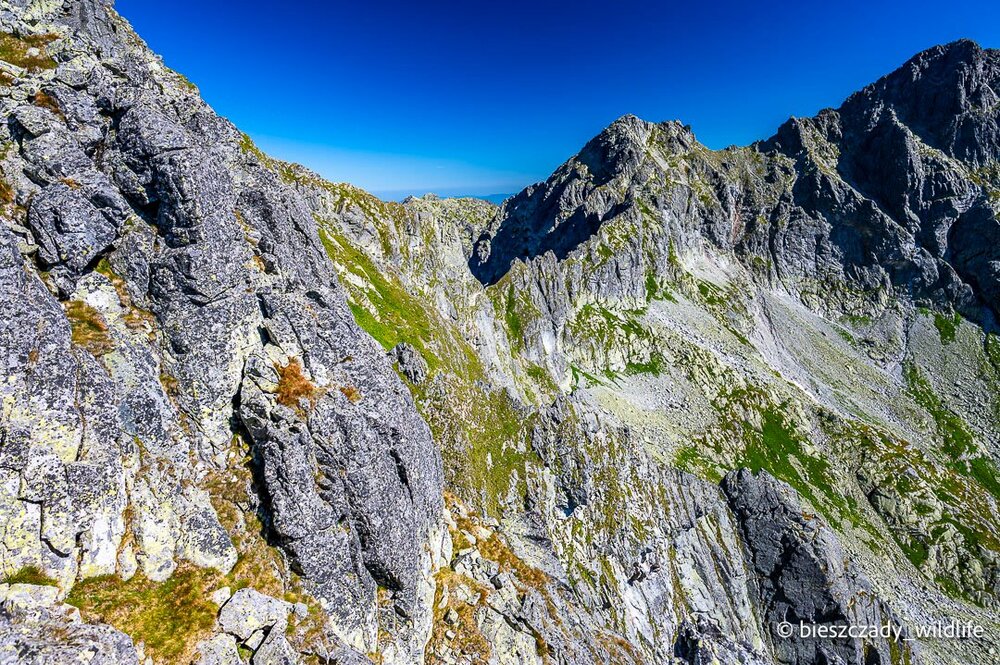 Tatras 2023-276 Koprowy.jpg