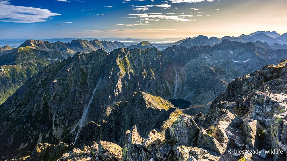Tatras 2023-235 Krywan.jpg