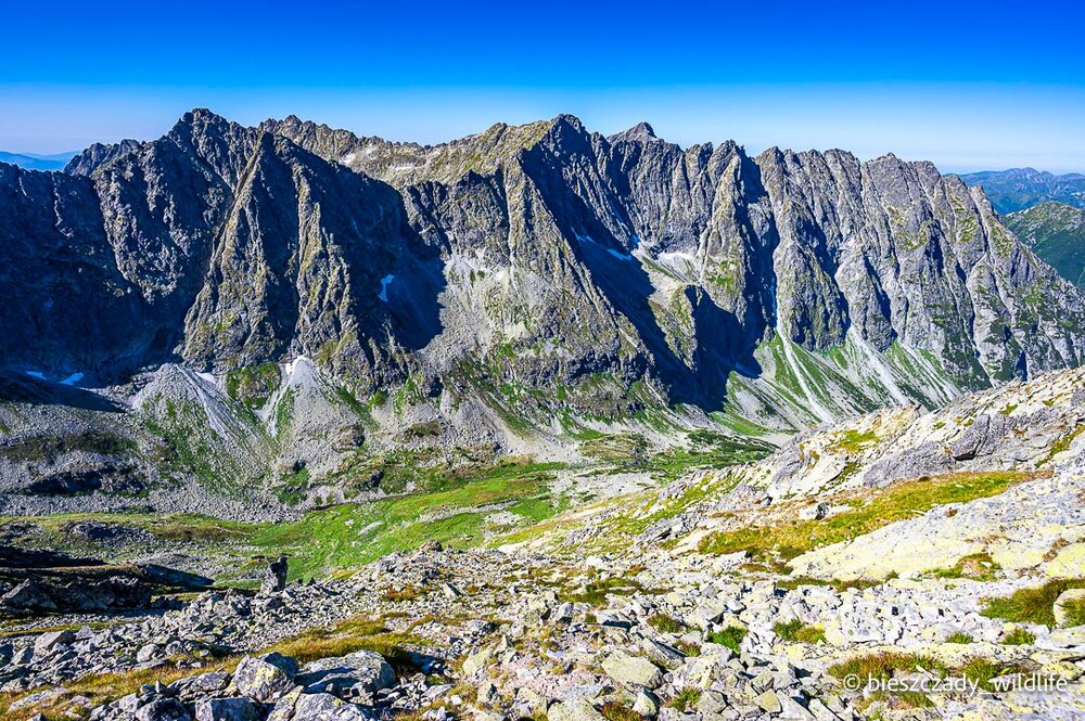 Tatras 2023-270 Koprowy.jpg