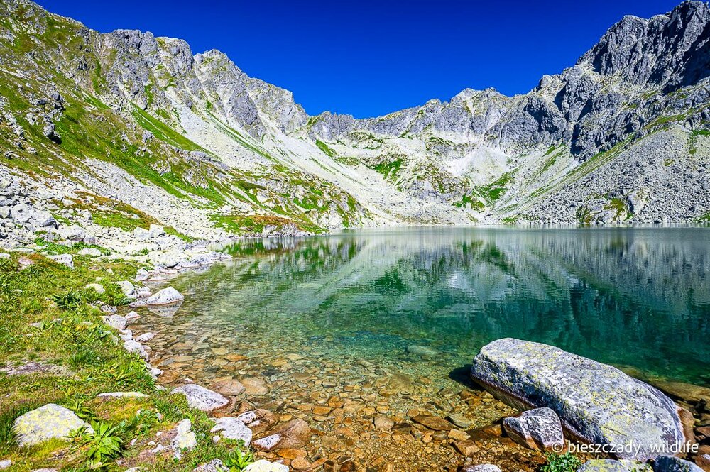 Tatras 2023-277 Koprowy.jpg