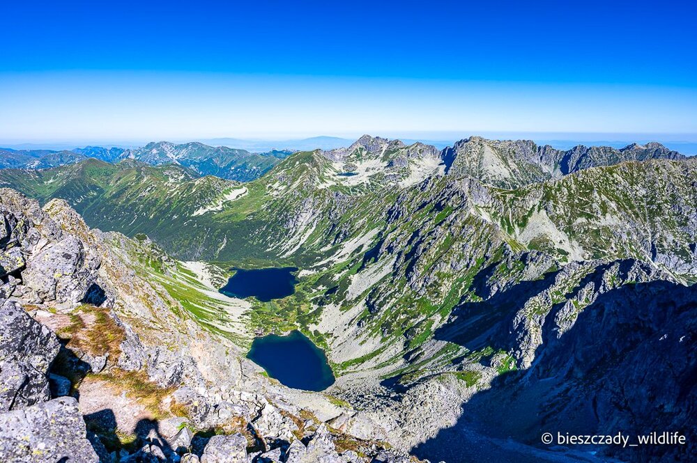 Tatras 2023-269 Koprowy.jpg