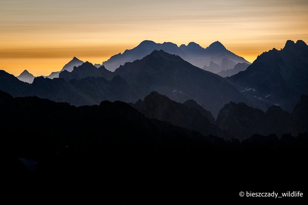 Tatras 2023-222 Krywan.jpg