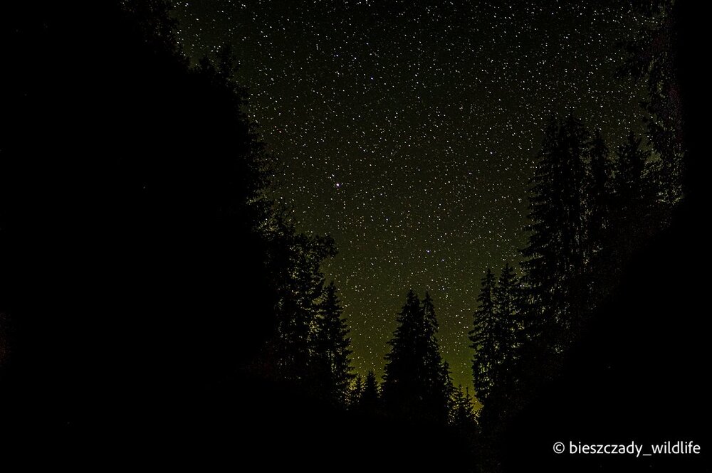 Tatras 2023-221 Krywan.jpg