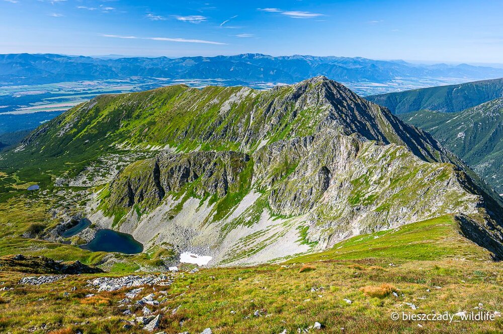 Tatras 2023-252 Bystra.jpg