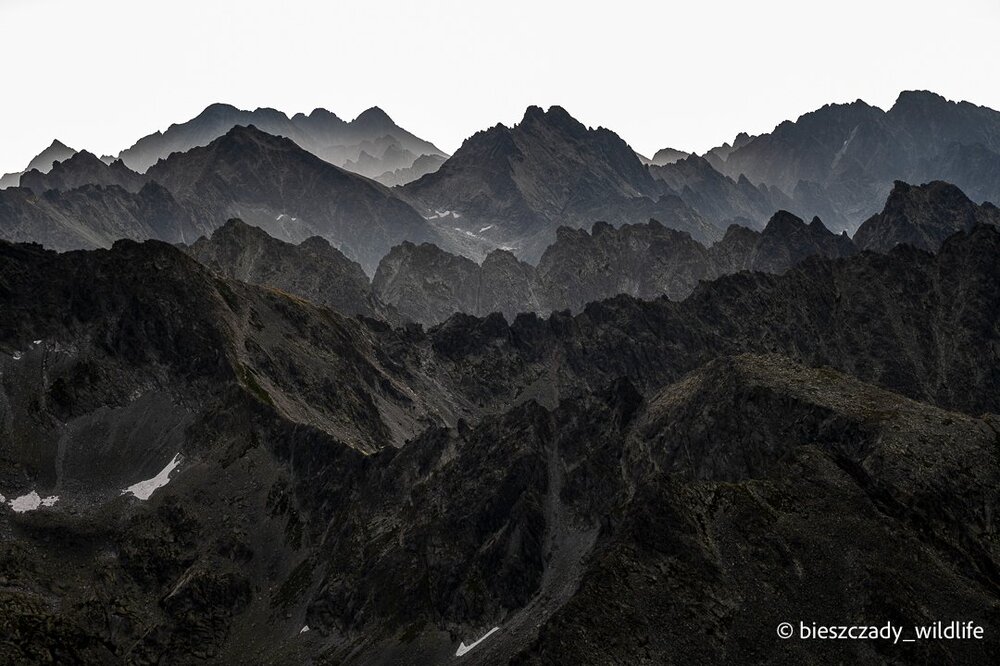 Tatras 2023-224 Krywan.jpg