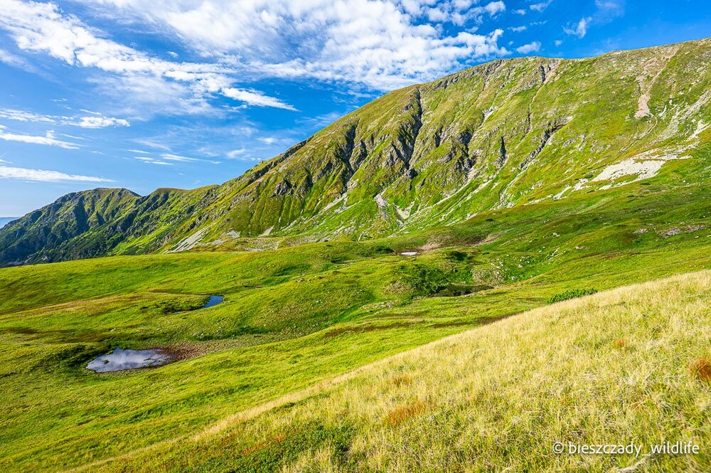 Tatras 2023-248 Bystra.jpg