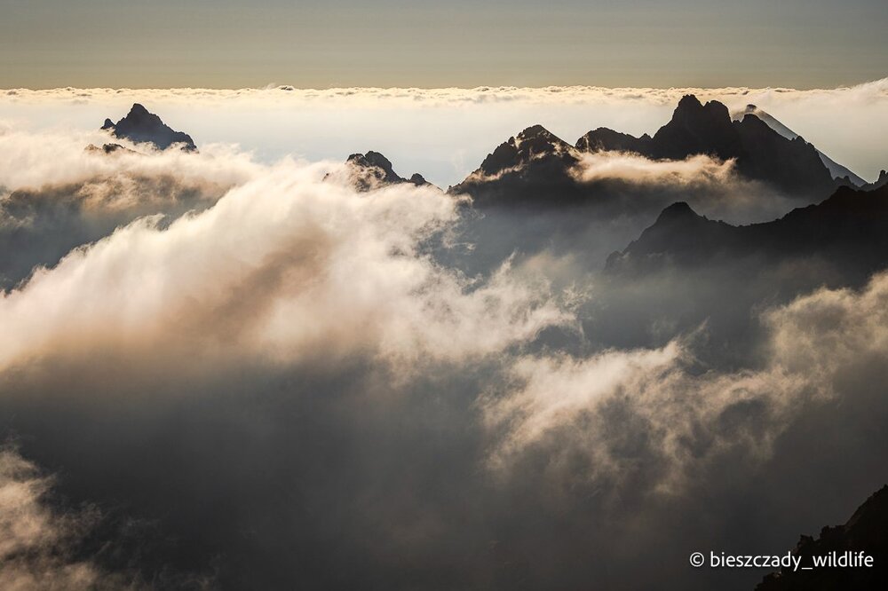 Tatras 2023-186 Rysy.jpg