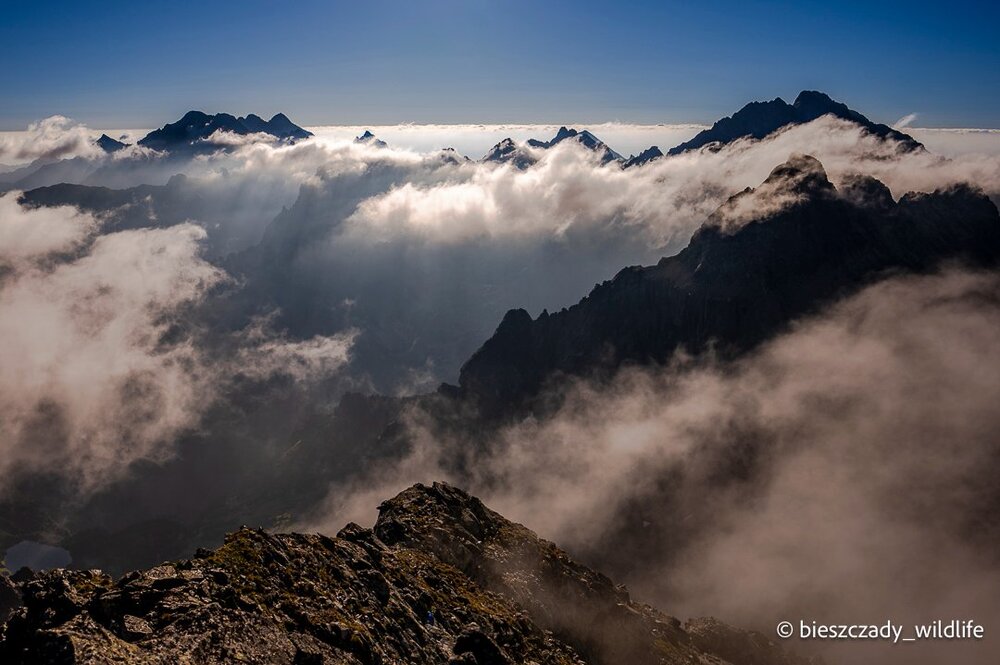 Tatras 2023-188 Rysy.jpg