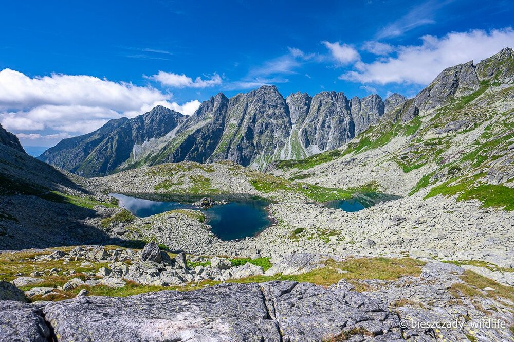 Tatras 2023-211 Dolina Zabia Mieguszowiecka.jpg