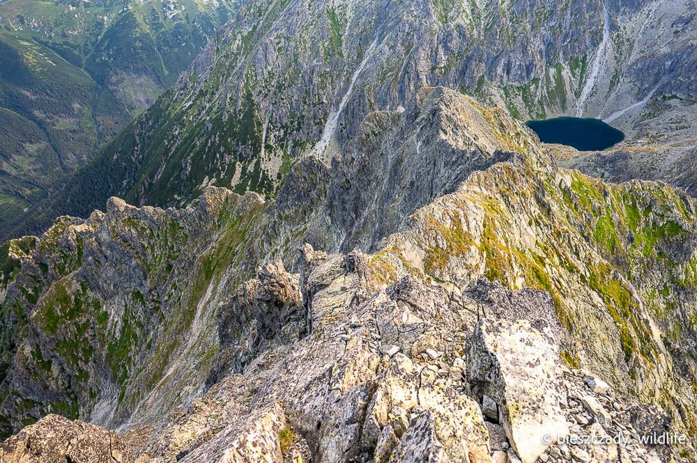 Tatras 2023-227 Krywan.jpg