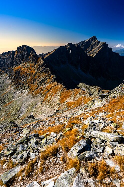 Tatras 2023-341 Furkot.jpg