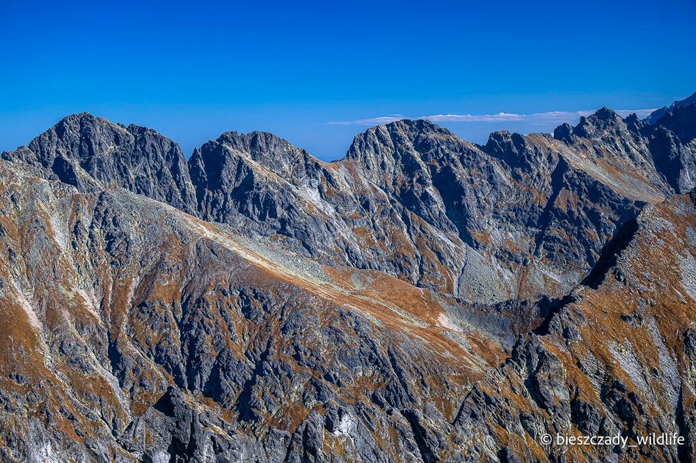 Tatras 2023-328 Furkot.jpg