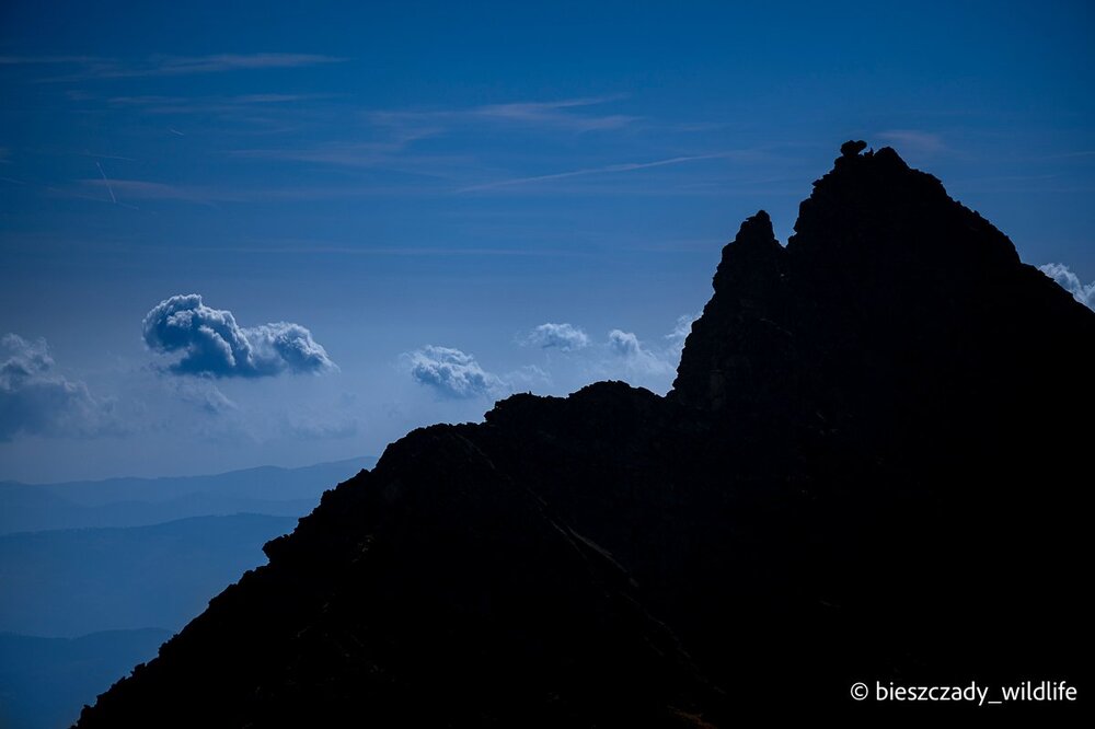 Tatras 2023-326 Furkot.jpg