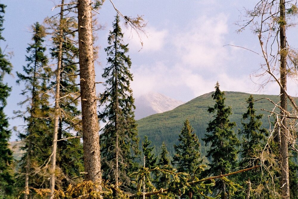 Tatry 2005 A 111.jpg