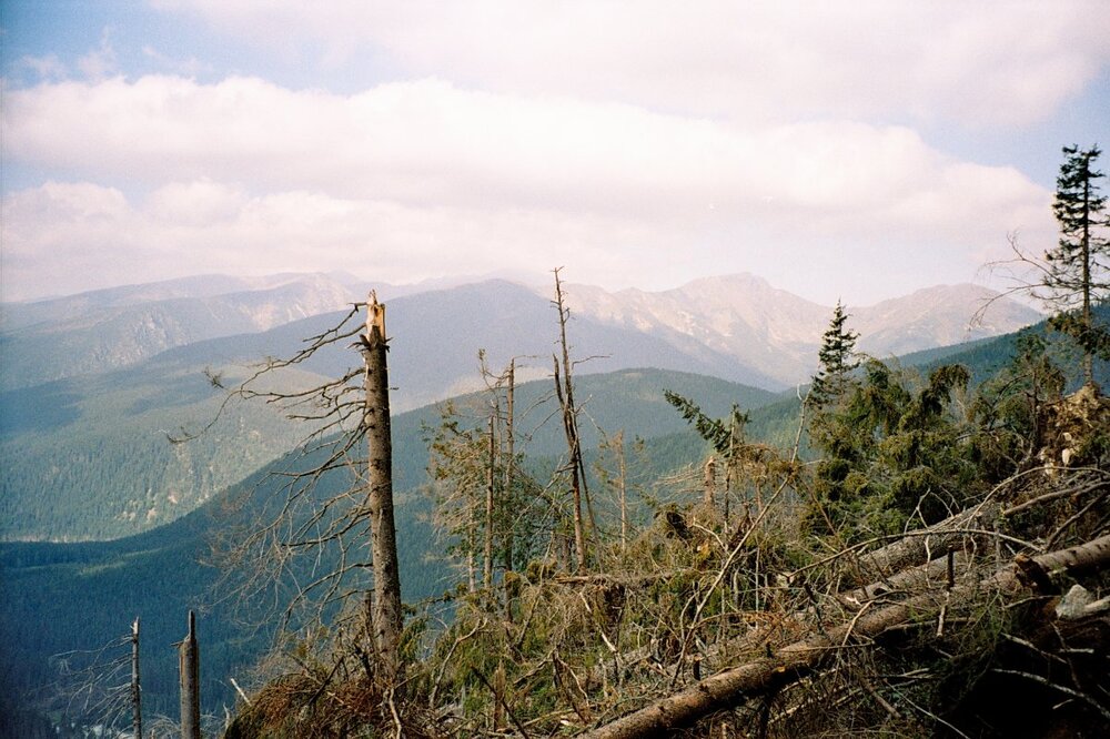Tatry 2005 A 112.jpg