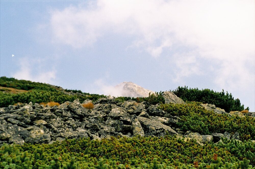 Tatry 2005 A 115.jpg