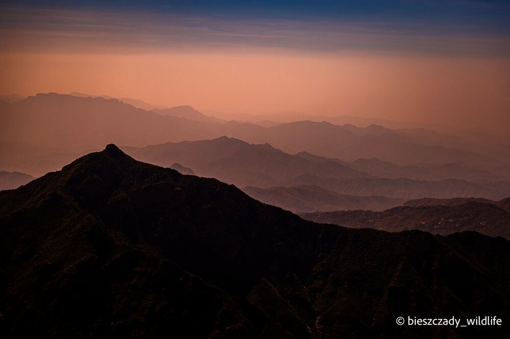 Saudi Arabia 2023-012 Asir.jpg