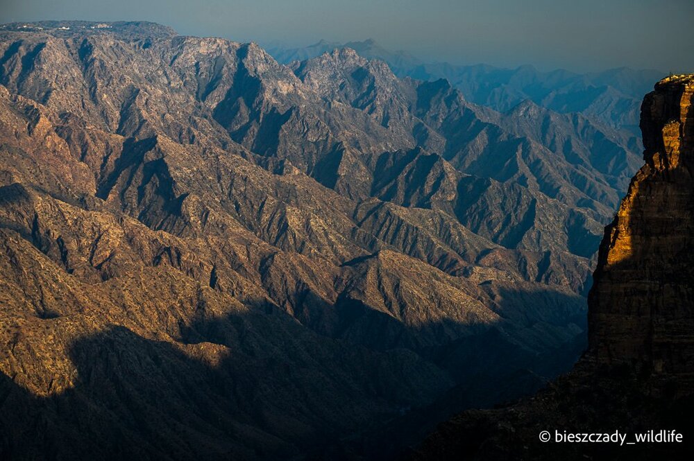 Saudi Arabia 2023-023 Asir.jpg