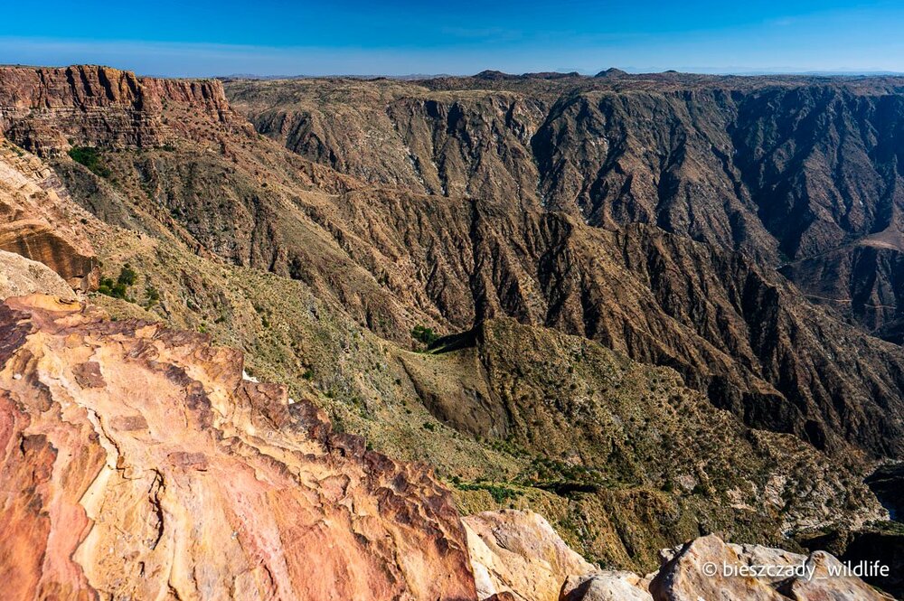 Saudi Arabia 2023-009 Asir.jpg