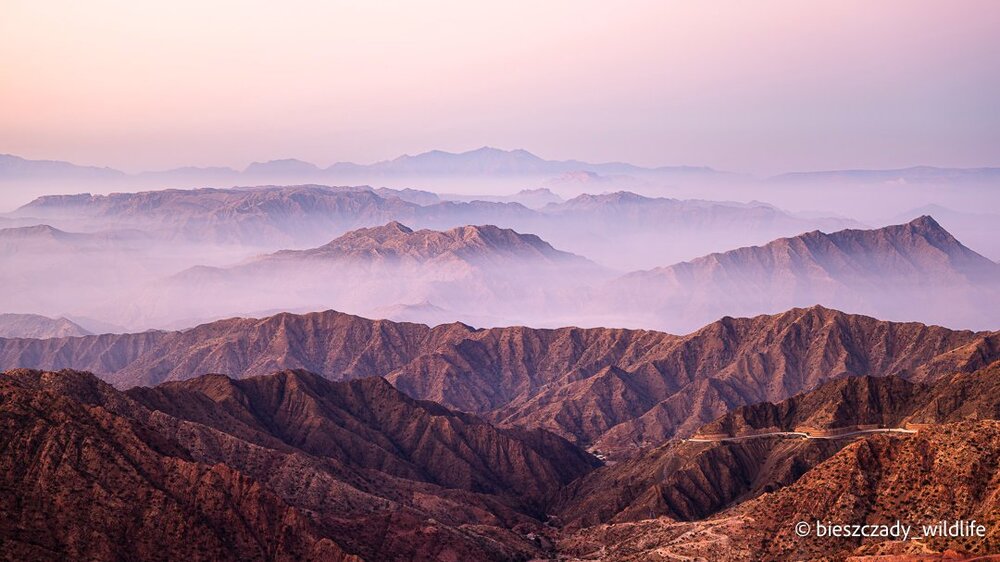 Saudi Arabia 2023-137 Al Jawwah.jpg