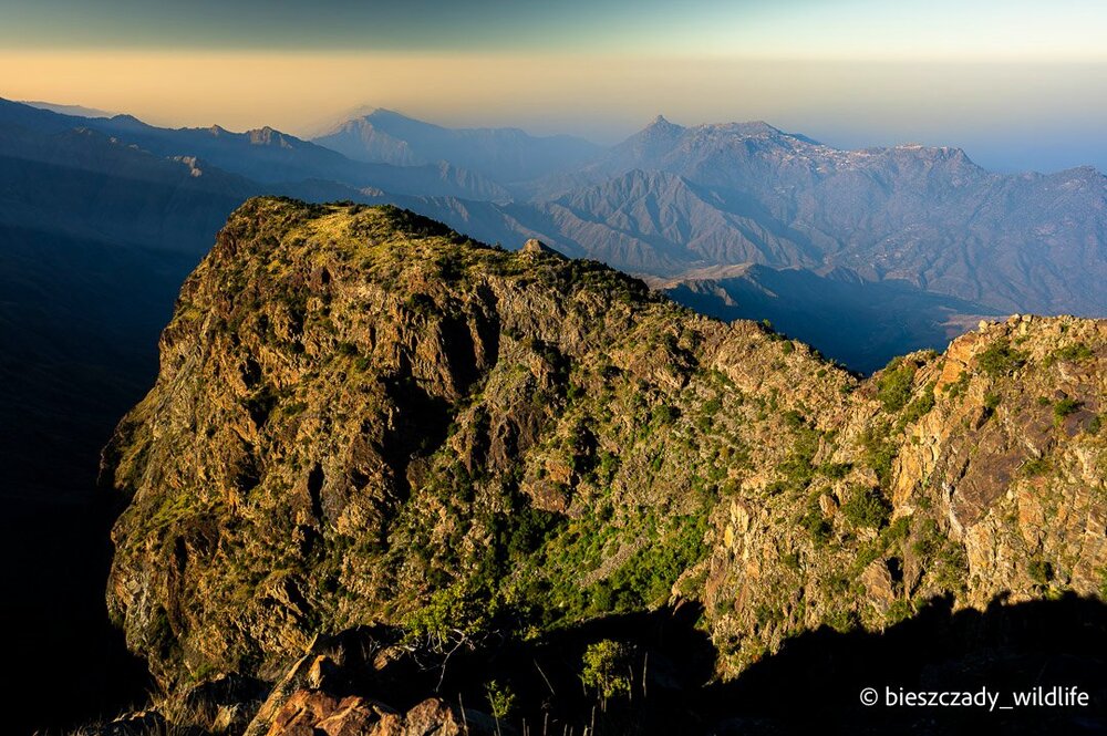 Saudi Arabia 2023-120 Asir Billasmar.jpg