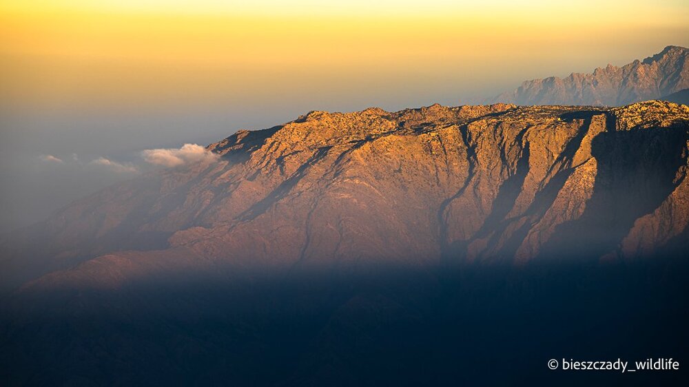 Saudi Arabia 2023-113 Asir Billasmar.jpg