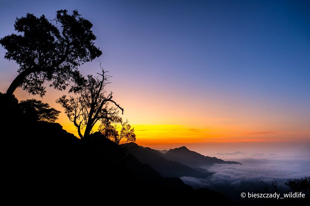 Saudi Arabia 2023-078 Jabal Aswad The Black Mt.jpg