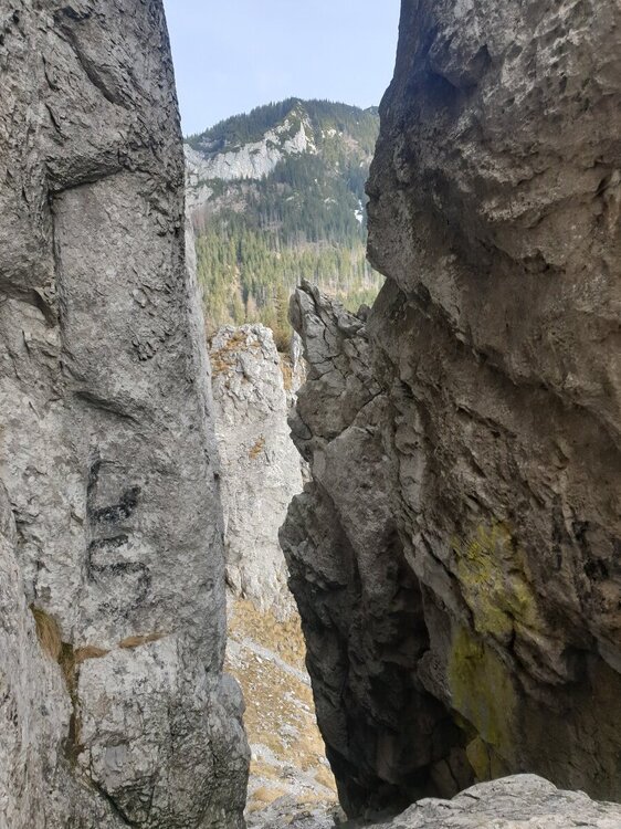 20240229_115808.jpg