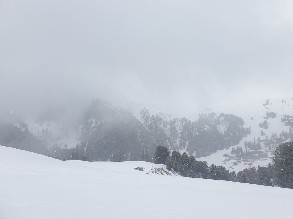 20240327_160305.jpg