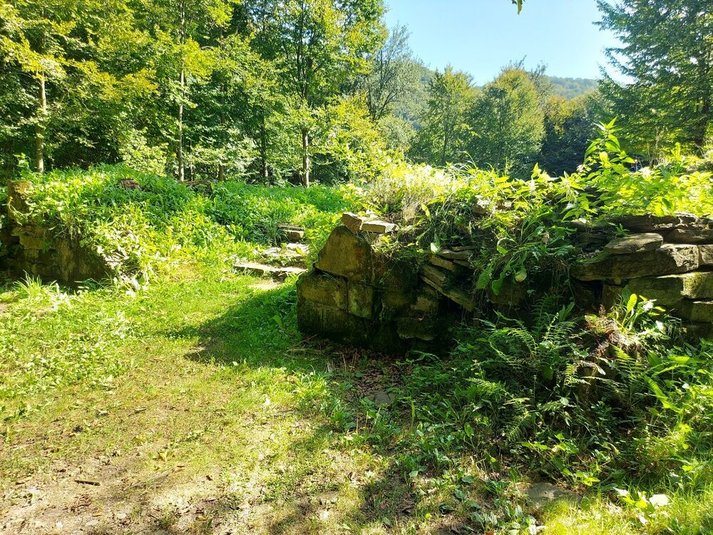 20240906_110136.jpg