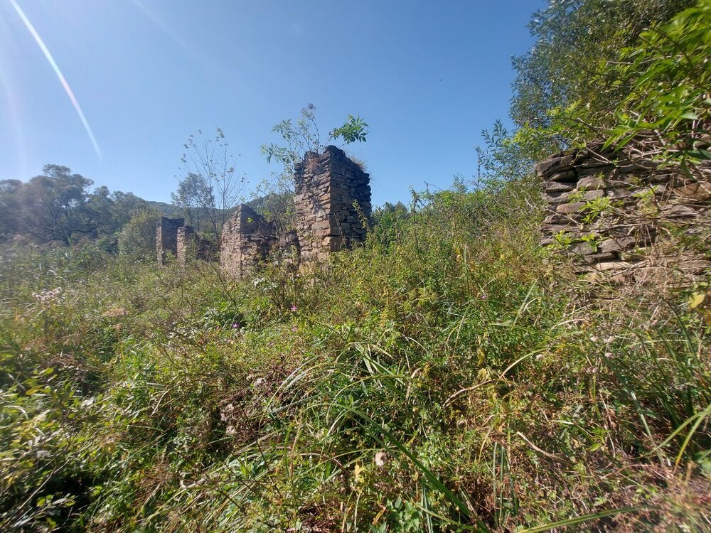 20240906_130257.jpg