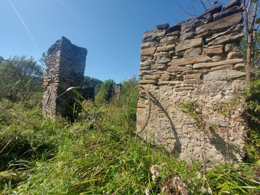 20240906_130328.jpg