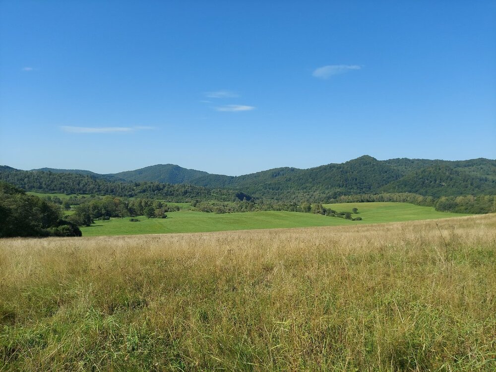 20240906_143720.jpg