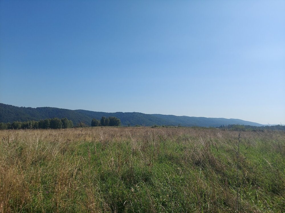 20240907_102025.jpg