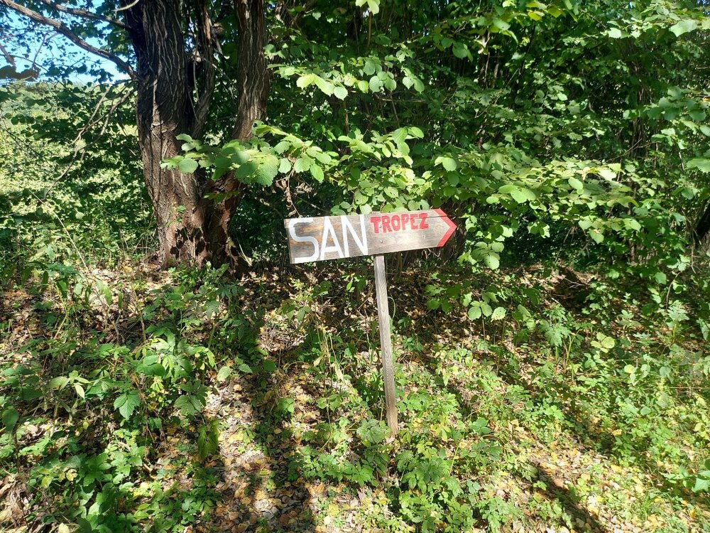 20240907_105301.jpg