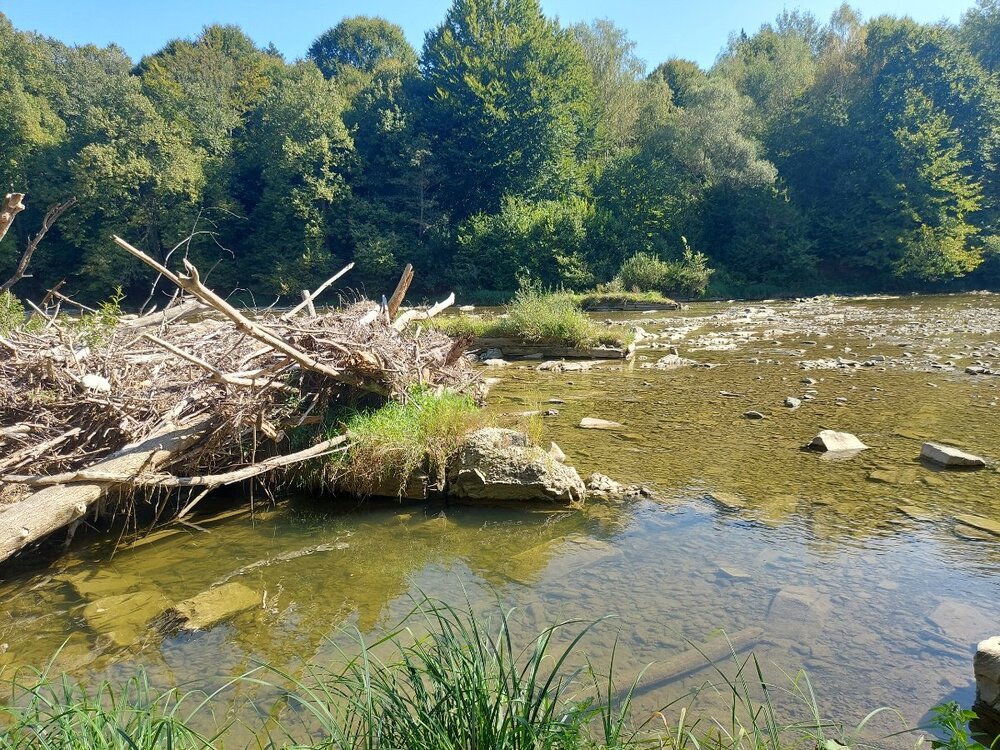 20240907_112028.jpg