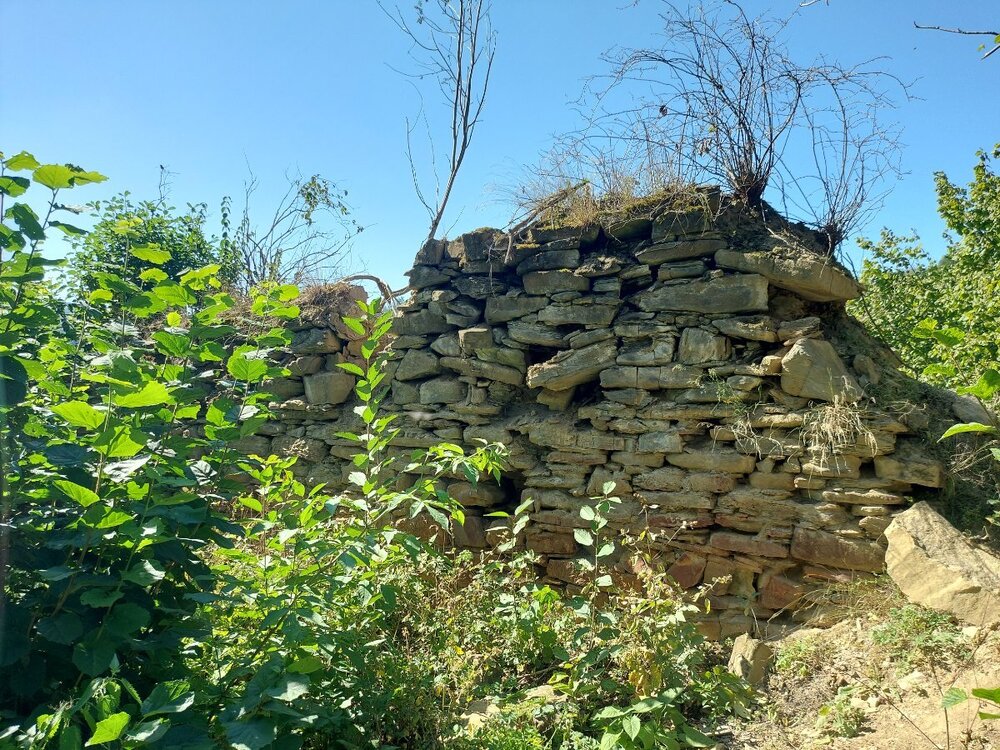 20240907_122609.jpg