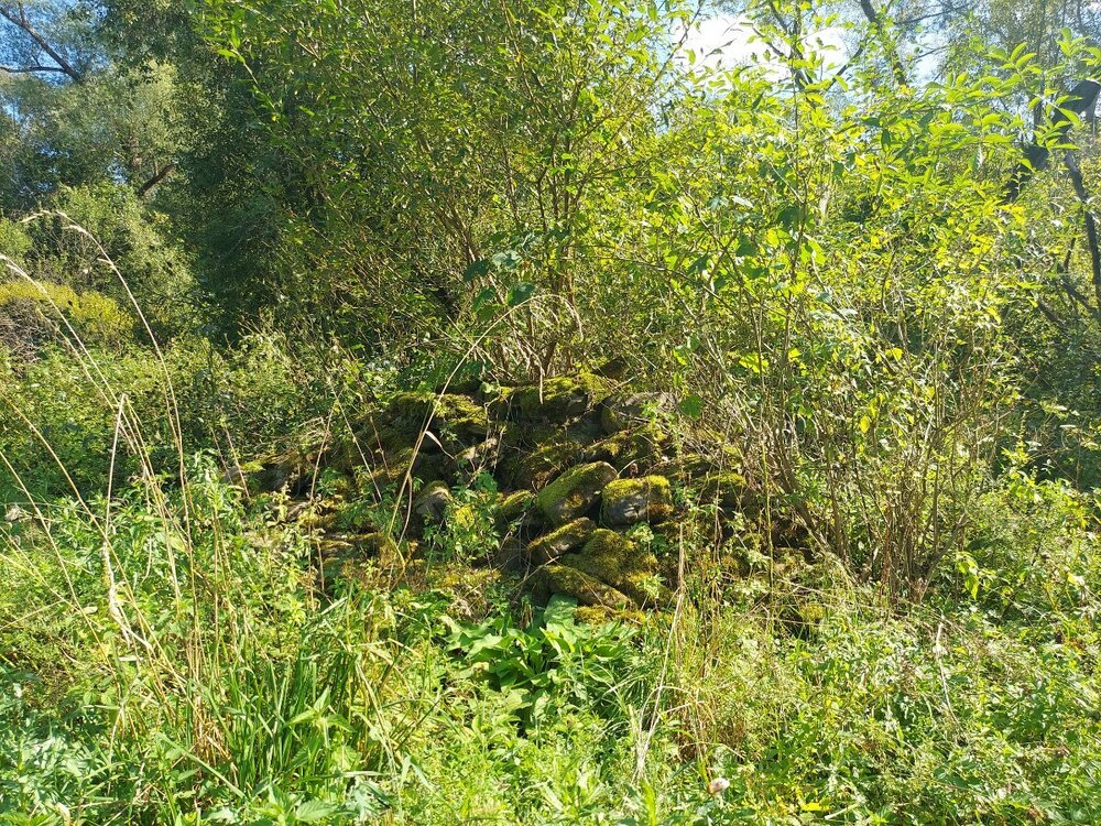 20240907_144757.jpg