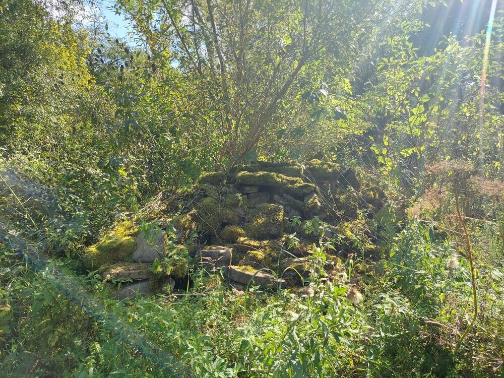 20240907_144817.jpg