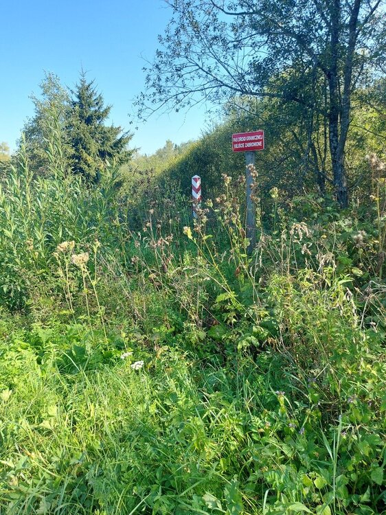 20240908_101916.jpg
