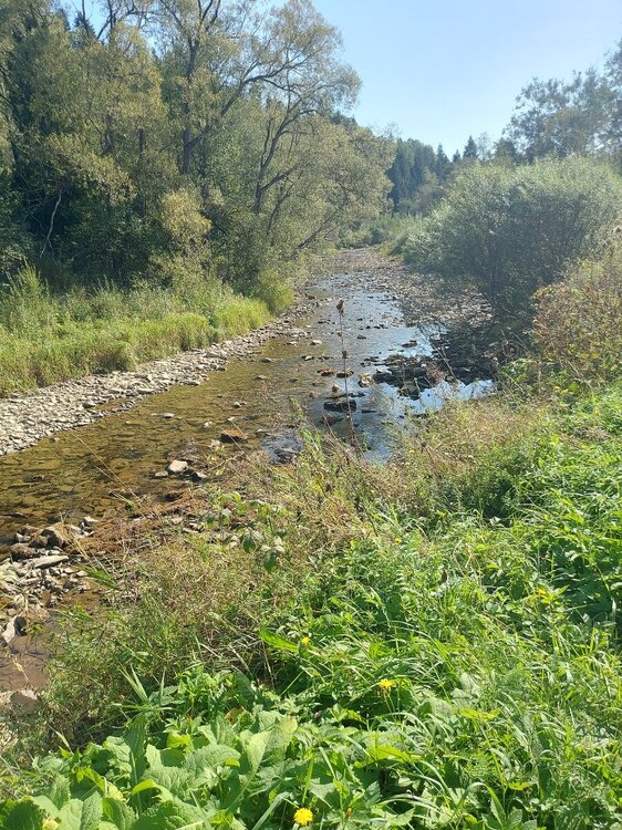 20240908_111503.jpg