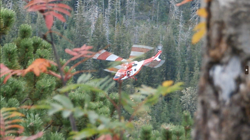 Zrzut ekranu (10113).png