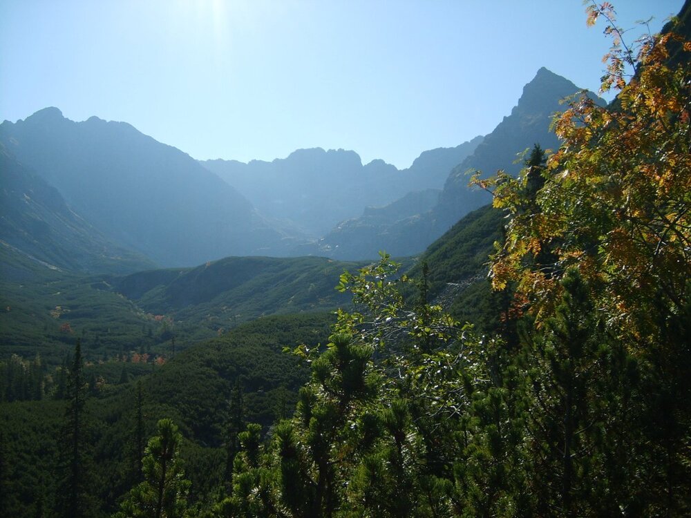 Tatry 2006 - 3 512.jpg