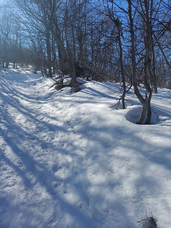 20250308_122036.jpg