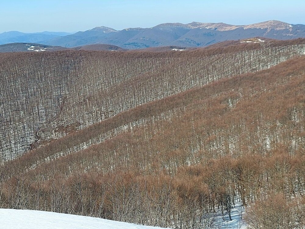 20250308_133034.jpg