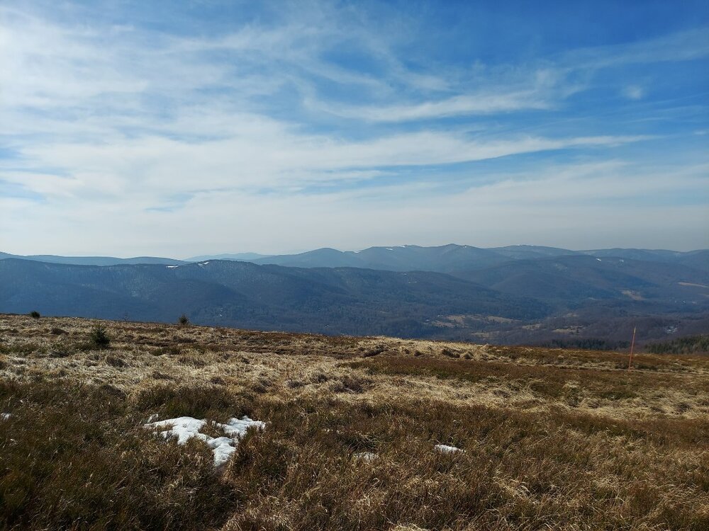 20250309_103855.jpg