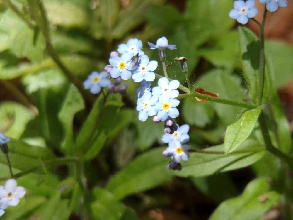 100_6129.jpg